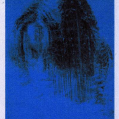 Silviacollage3 Cmyk