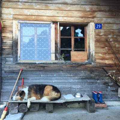 Img 7133